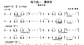 练习曲一 静夜思(箫)马生庞 编曲