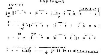 笛子谱 | 苏格兰的蓝铃花