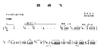 笛子谱 | 鹧鸪飞(赵松庭改编版)