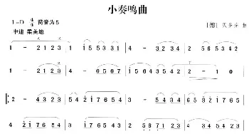 笛子谱 | 小奏鸣曲(贝多芬作曲版)贝多芬