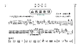 笛子谱 | 山东吕剧调  闫小辉 闫德泉