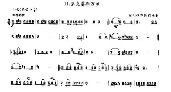 笛子谱 | 圣克鲁斯万岁