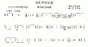 笛子谱 | 摘苹果的时候  朝鲜电影歌曲 蔡敬民改编