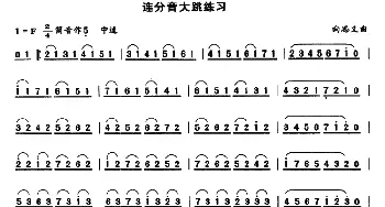 笛子谱 | 笛子连分音大跳练习  向思义