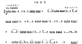 笛子谱 | 报春花