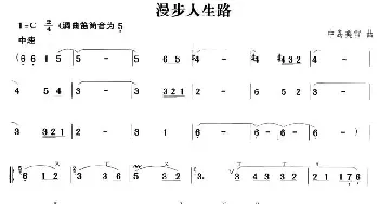 笛子谱 | 漫步人生路  中岛美雪