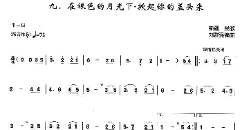 在银色的月光下—掀起你的盖头来(箫独奏曲)新疆民歌 刘群强编曲