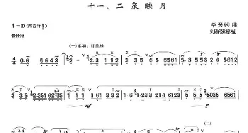 二泉映月(箫独奏曲 刘群强移植版)华彦钧曲 刘群强移植