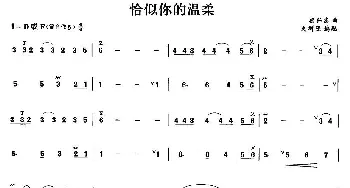 笛子谱 | 恰似你的温柔  梁弘志