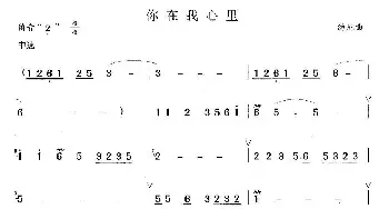 笛子谱 | 你在我心里  汤尼