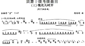 笛箫十级考级曲目 槐花几时开  胡结续