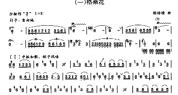 笛子谱 | 格桑花  胡结续