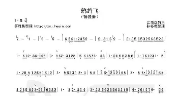 鹧鸪飞(箫谱)