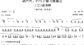 巴乌十级考级曲目 读书郎  宋扬曲 胡结续改编