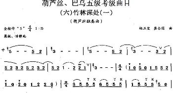 巴乌五级考级曲目 竹林深处  杨正玺 龚全国