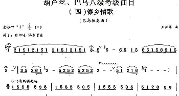 巴乌八级考级曲目 傣乡情歌  王亚军