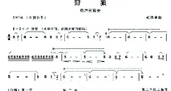 葫芦丝谱 | 野狼  赵洪啸