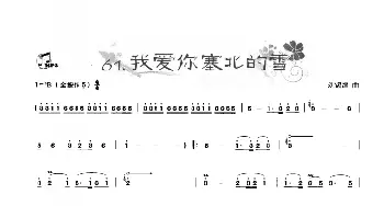 葫芦丝谱 | 葫芦丝曲精选 我爱你在北的雪  刘锡津曲 王甲坤 王甲华编著