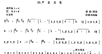 芦笙恋歌  佟富功改编