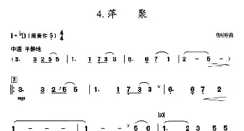 葫芦丝谱 | 葫芦丝教学曲集 萍聚  噜啦啦曲 周成龙编曲