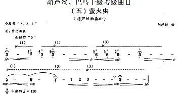 巴乌十级考级曲目 萤火虫  胡结续