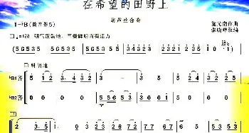 葫芦丝谱 | 在希望的田野上  张晓峰改编