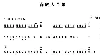 葫芦丝谱 | 犇骏大苹果  李亮