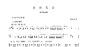 葫芦丝谱 | 香格里拉(葫芦丝独奏)林荣昌