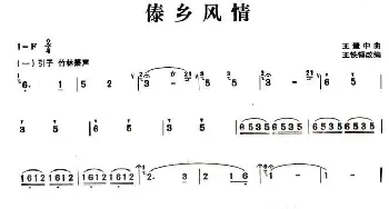 葫芦丝谱 | 傣乡风情  王慧中