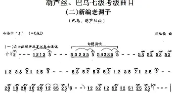 巴乌七级考级曲目 新编老调子  胡结续