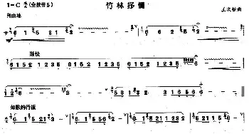 葫芦丝谱 | 竹林抒情  王次恒