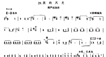 葫芦丝谱 | 版纳风光  王铁锤