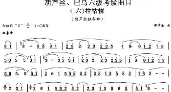 巴乌六级考级曲目 拉祜情  谭学金