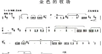 葫芦丝谱 | 金色的牧场  王铁锤