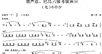 巴乌六级考级曲目 小仆少   杨一丹