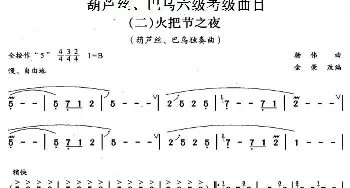 巴乌六级考级曲目 火把节之夜  杨伟曲 金荣改编