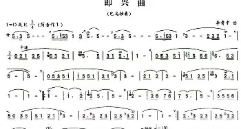 即兴曲(巴乌谱)李贵中