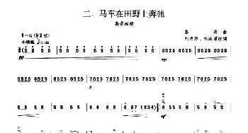 马车在田野上奔驰(板胡曲集第八级)