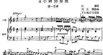 二胡谱 | a小调协奏曲 第一乐章(二胡+钢琴伴奏)巴赫曲 刘长福移植 丁红梅订弓指法