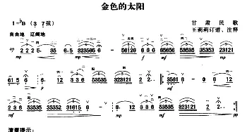 二胡谱 | 金色的太阳(甘肃民歌 王莉莉订谱版)甘肃民歌 王莉莉订谱