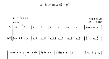 二胡谱 | 姐在田里薅豆稞(扬琴伴奏谱)黄玲