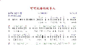 二胡谱 | 可可托海的牧羊人(二胡独奏曲) 王琪 王琪