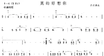 二胡谱 | 真的好想你