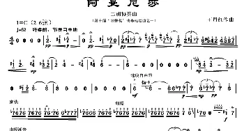 二胡谱 | 阿曼尼莎  王丹红