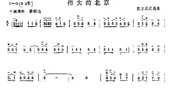 二胡谱 | 伟大的北京  奴尔买买提