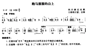 二胡谱 | 跑马溜溜的山上  四川康定民歌 王莉莉订谱