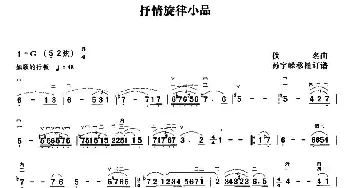 二胡谱 | 抒情旋律小品  孙宇嶸移植订谱