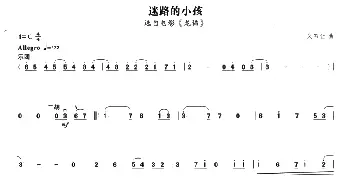 二胡谱 | 迷路的小孩(选自电影《龙猫》)久石让