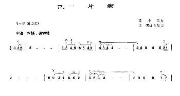 二胡谱 | 一片痴(黎小田曲 王憓订弓指法)