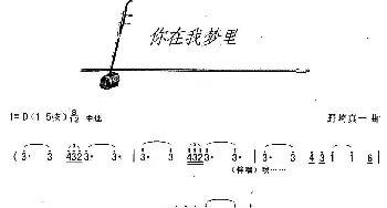 二胡谱 | 你在我梦里  野崎真一